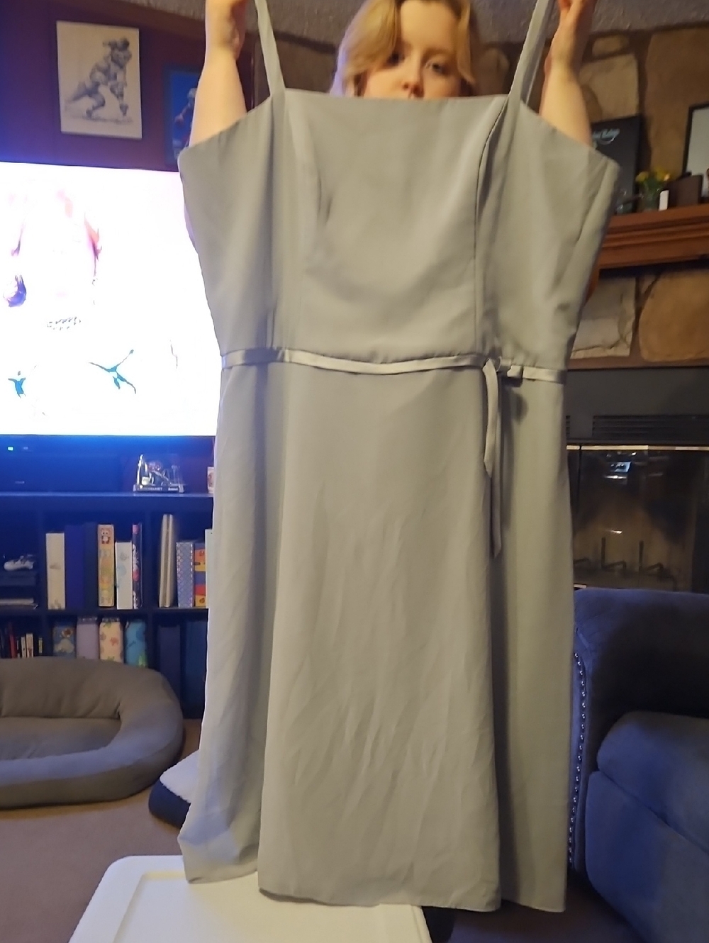 Alexia Designs Light Gray Sleeveless A-Line Wedding Dress with Waist Tie